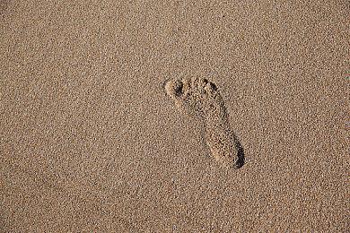 《上古卷轴4：湮灭重制版》国内MOD被下架 被打上歧视LGBT标签